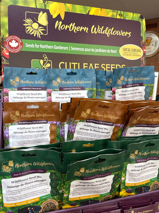 Northern Wildflowers - Large Wildflower Seed Packs