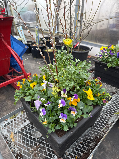 CI Assante Management 2026 Custom Planters