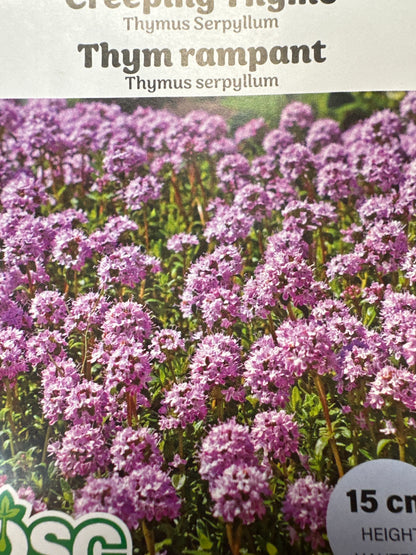 Seed Packets - Perennials