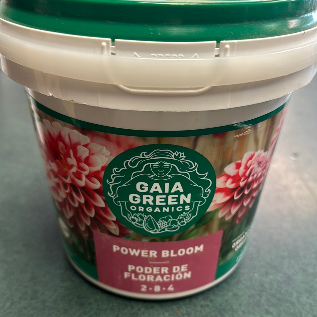 Gaia Green - Power Bloom - 2-8-4