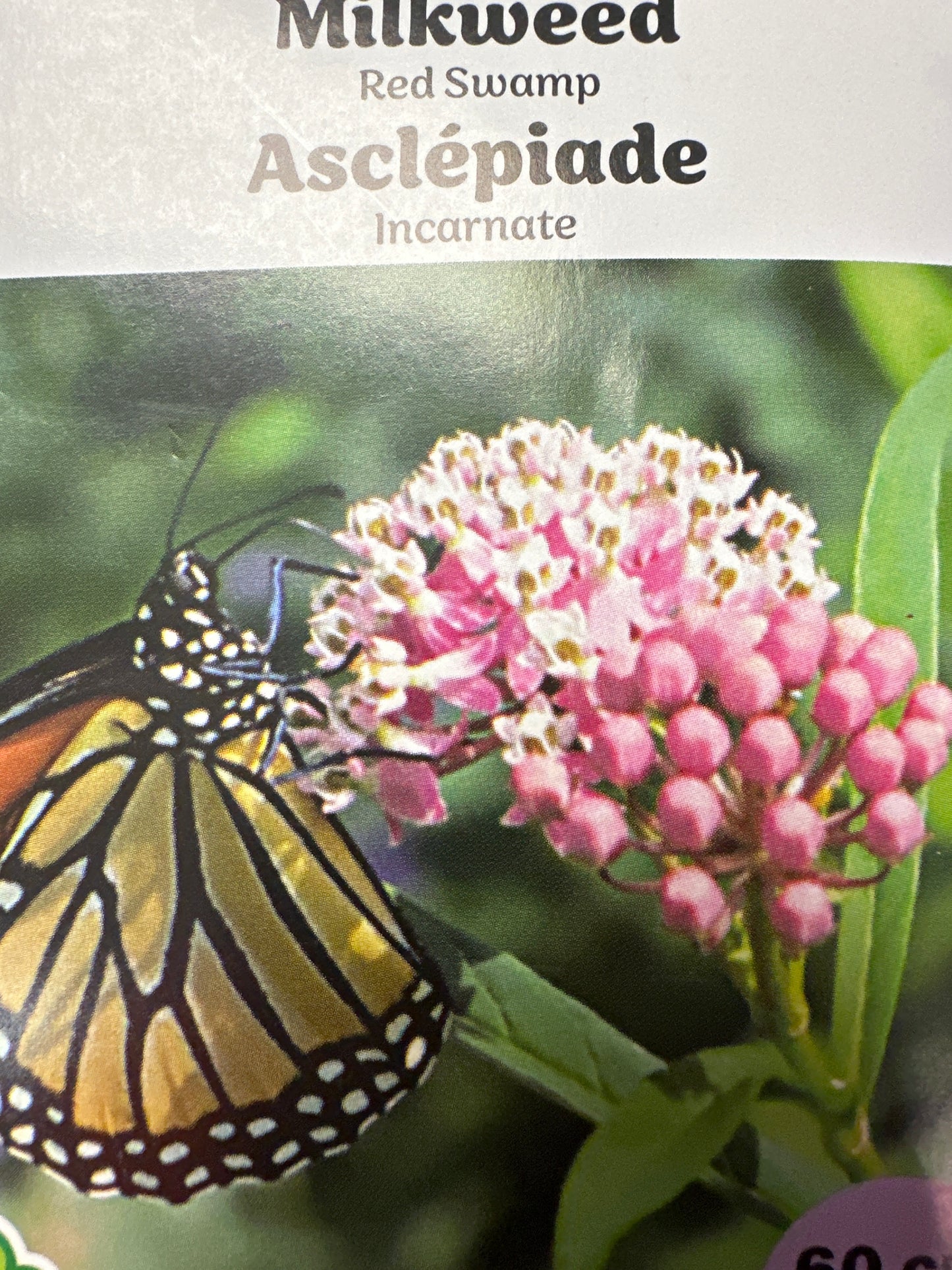 Seed Packets - Perennials