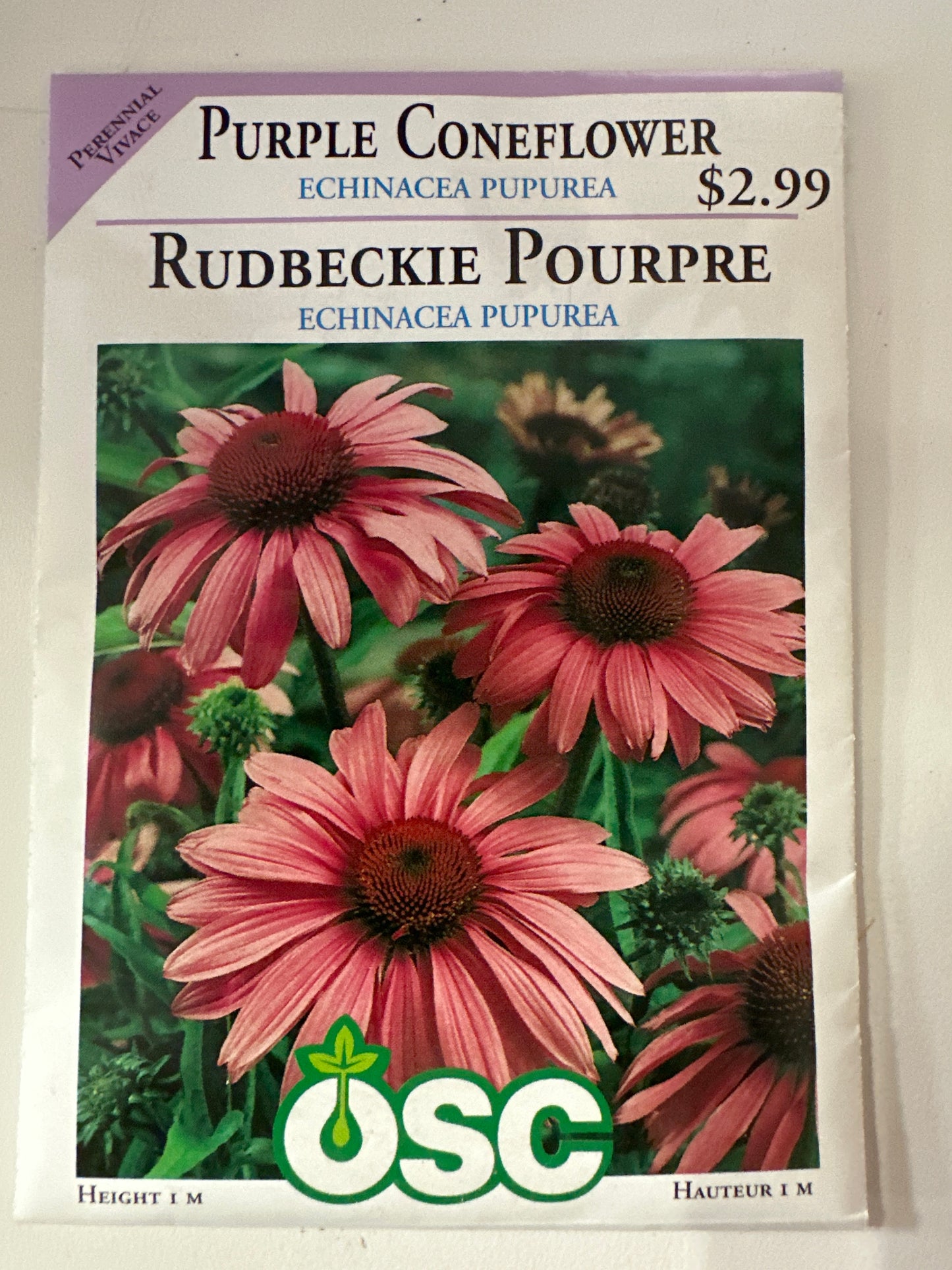 Seed Packets - Perennials