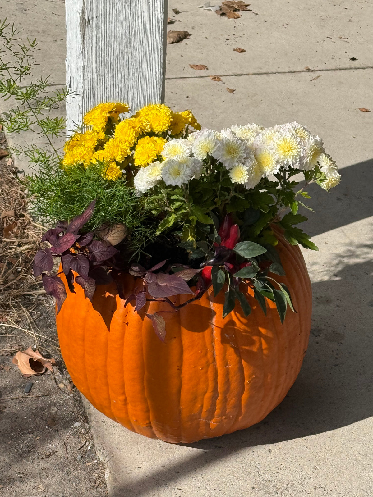 Pumpkin Planter Workshop