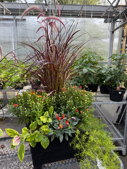 CI Assante Management 2026 Custom Planters