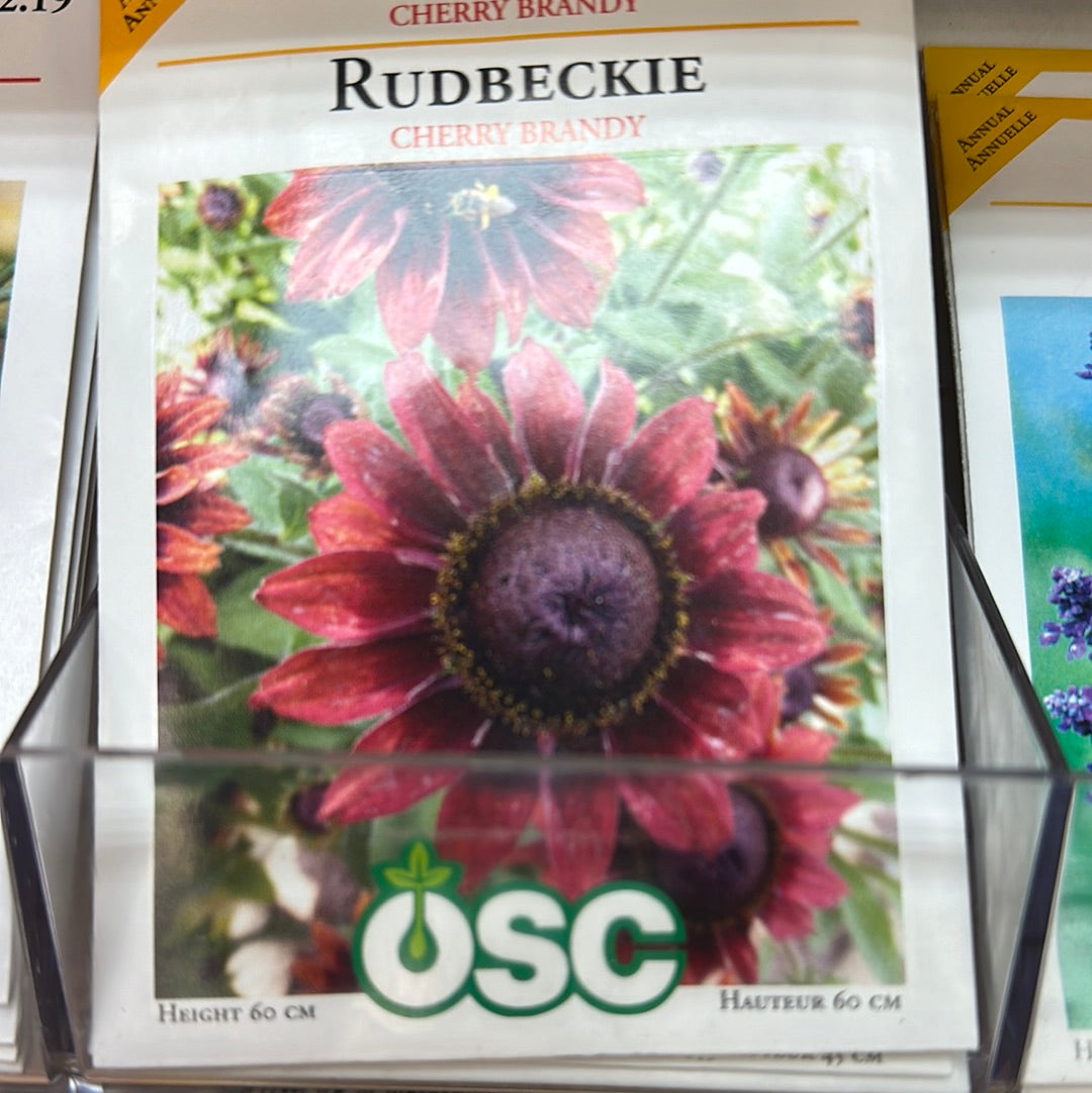 Seed Packets - Annuals - Rudbeckia