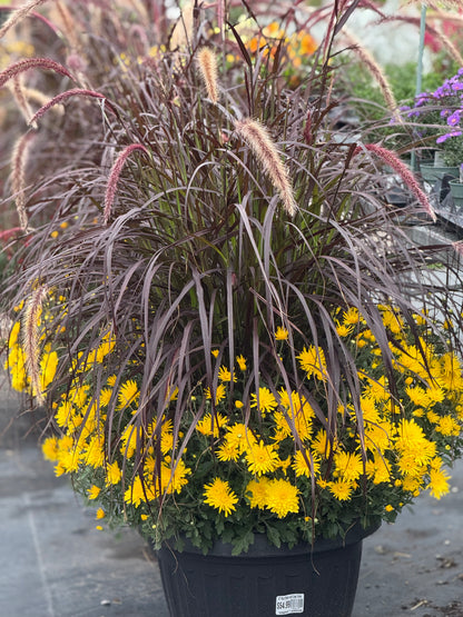 18” Mum Planter with Grass