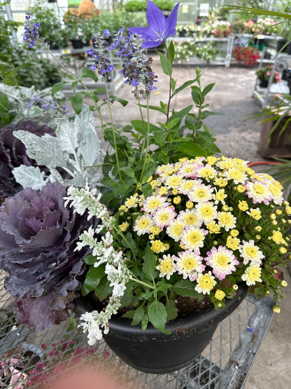 14" Fall Mixed Planter