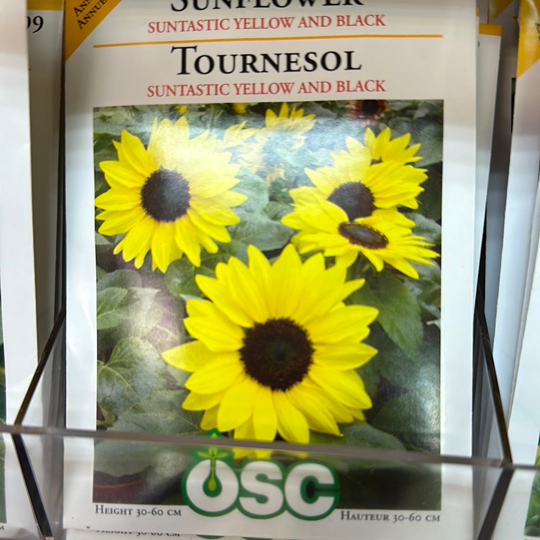 Seed Packets - Annual (Sunflower)