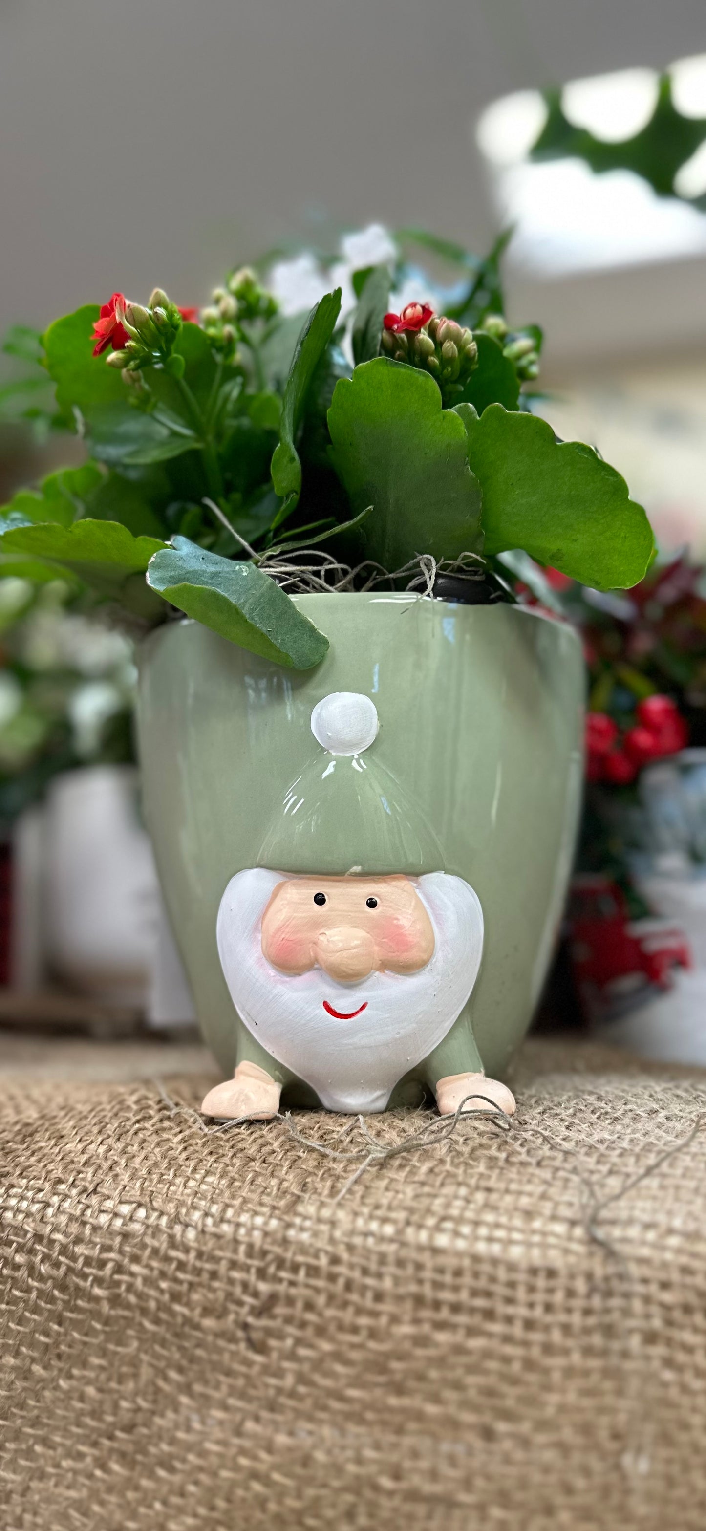 Festive Gnome Arrangement (Ceramic)