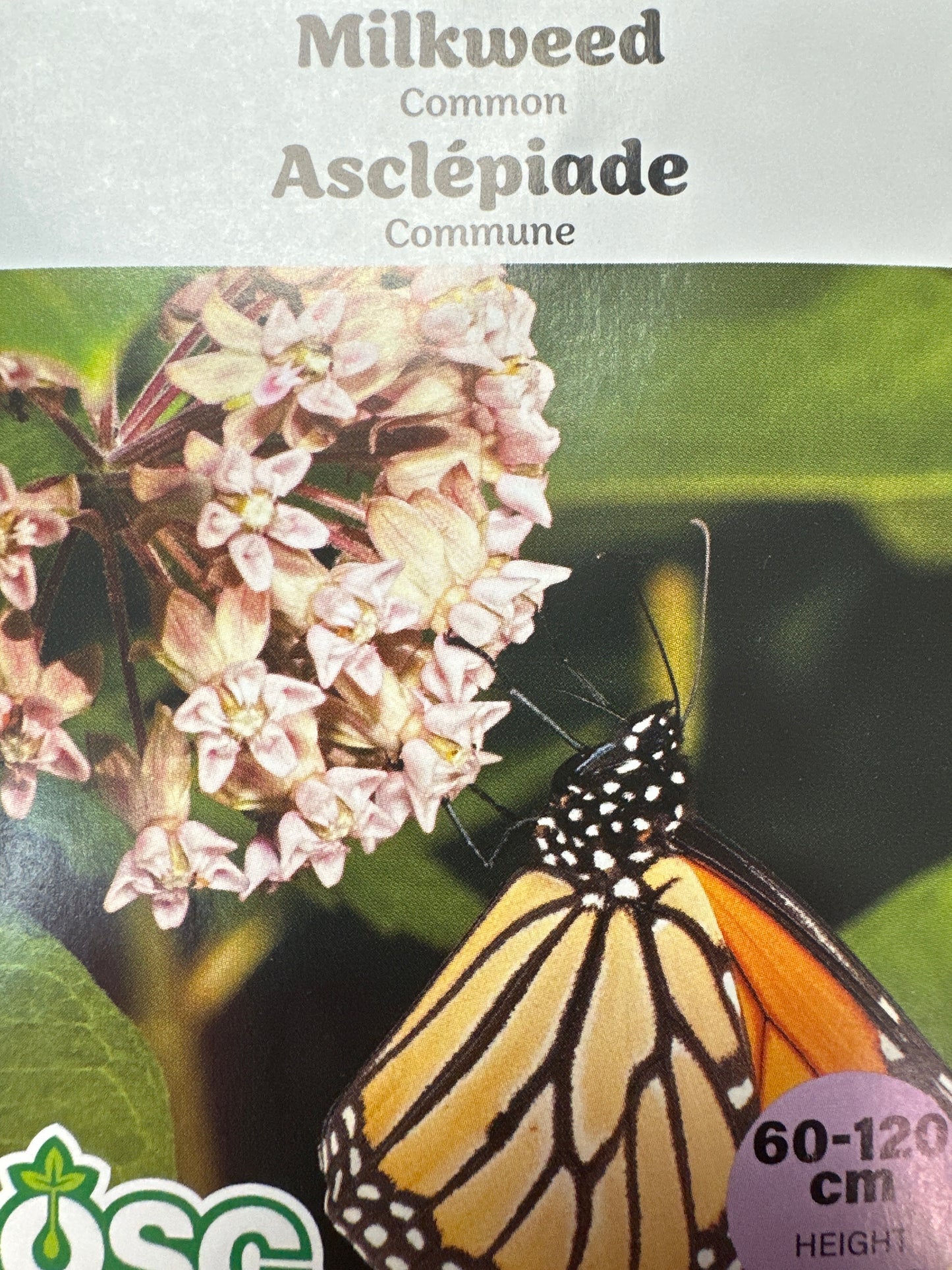 Seed Packets - Perennials