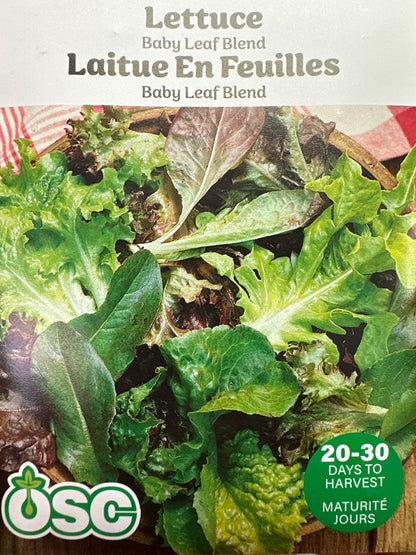 Seed Packets - Vegetables (Lettuce)