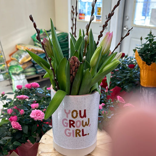 'You Grow Girl"  Pot Filled with spring flowers