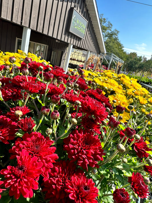 Fall Planter Workshop