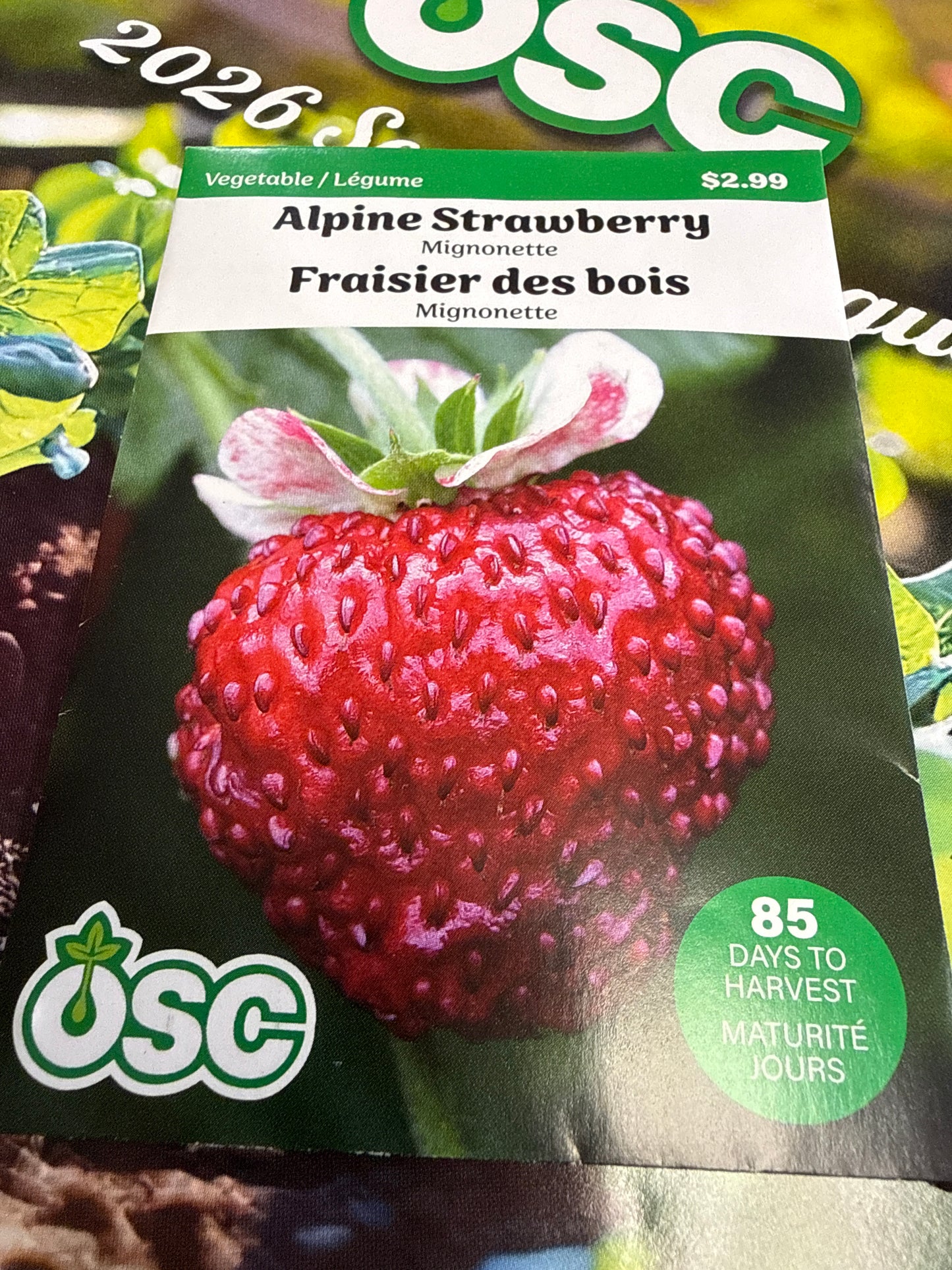 Seed Packets - Alpine Strawberry