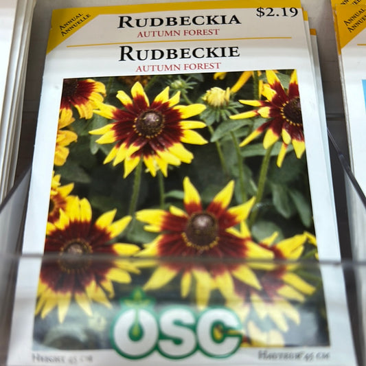 Seed Packets - Annuals - Rudbeckia