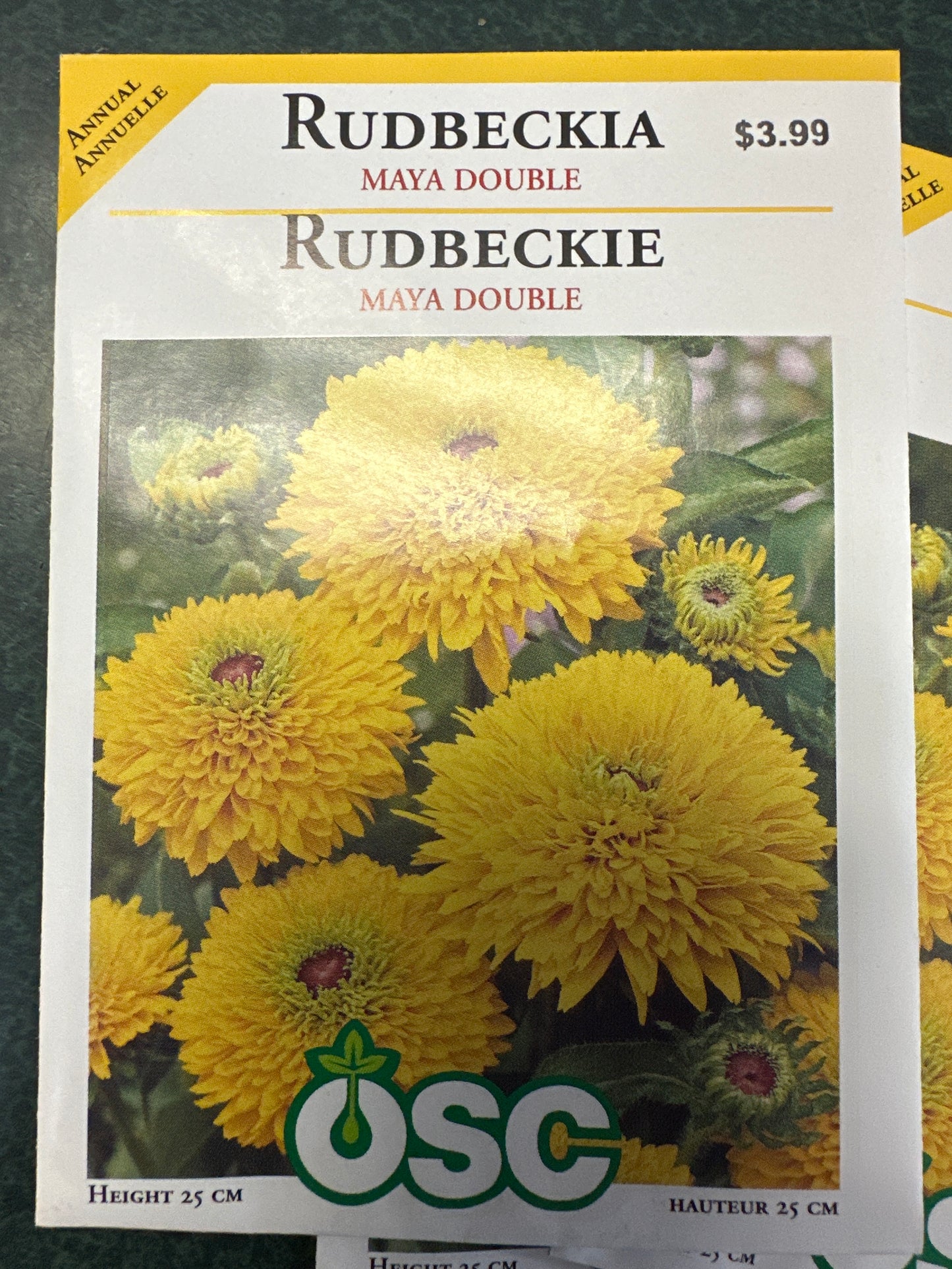 Seed Packets - Annuals - Rudbeckia