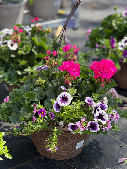 13" Premium Mixed Hanging Basket