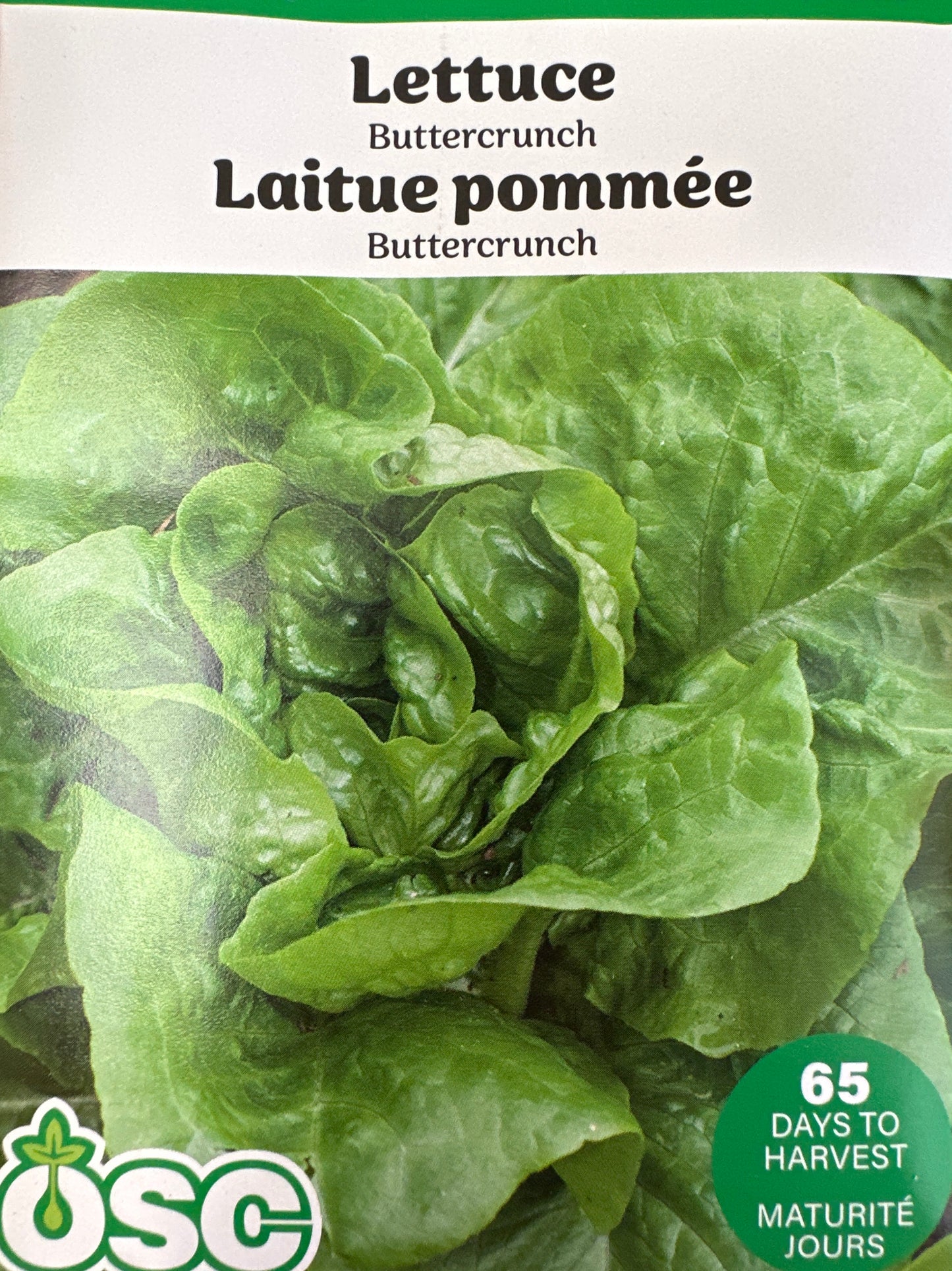 Seed Packets - Vegetables (Lettuce)