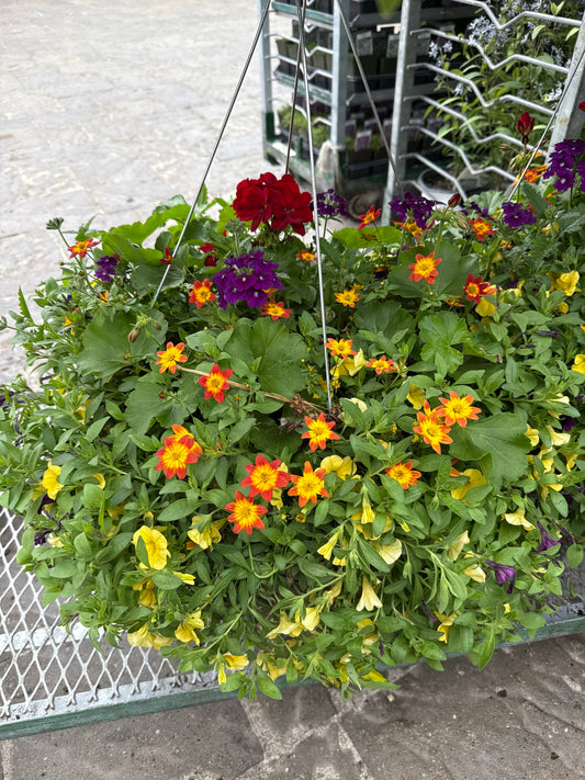Hanging Basket Extra-Large 16"