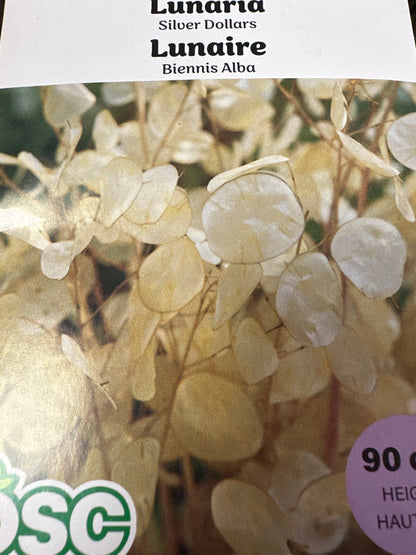 Seed Packets - Biennial