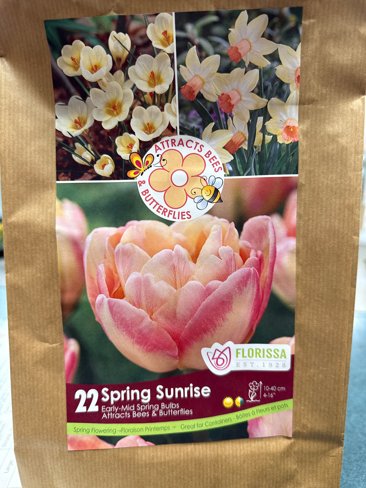 Spring Sunrise Pollinator Bulbs
