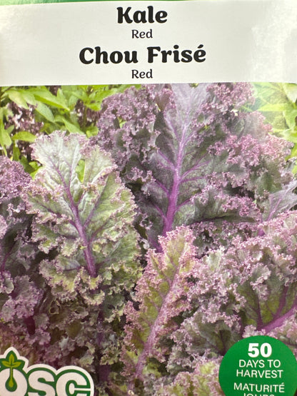 Seed Packets - Vegetables (Beans, Peas and Leafy Greens)