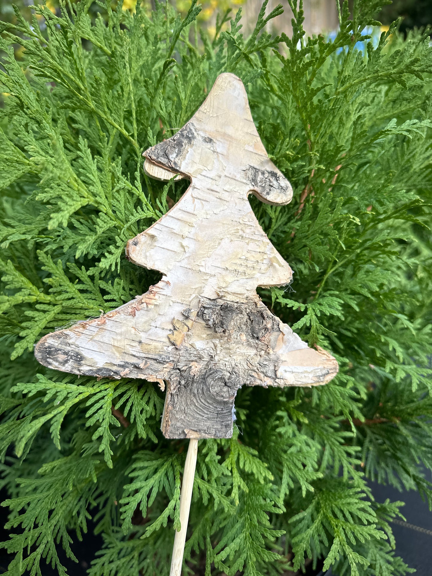 Birch Ornament for Urn Arrangments