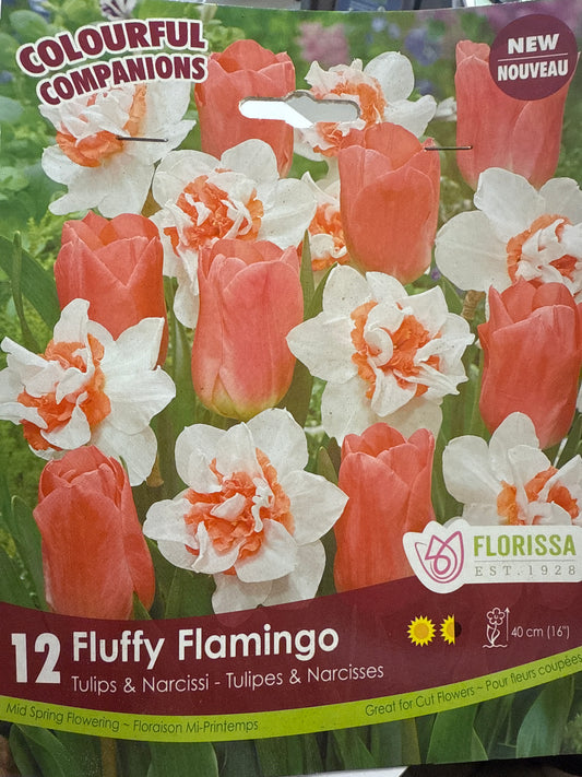 Fluffy Flamingo Companion Bulbs