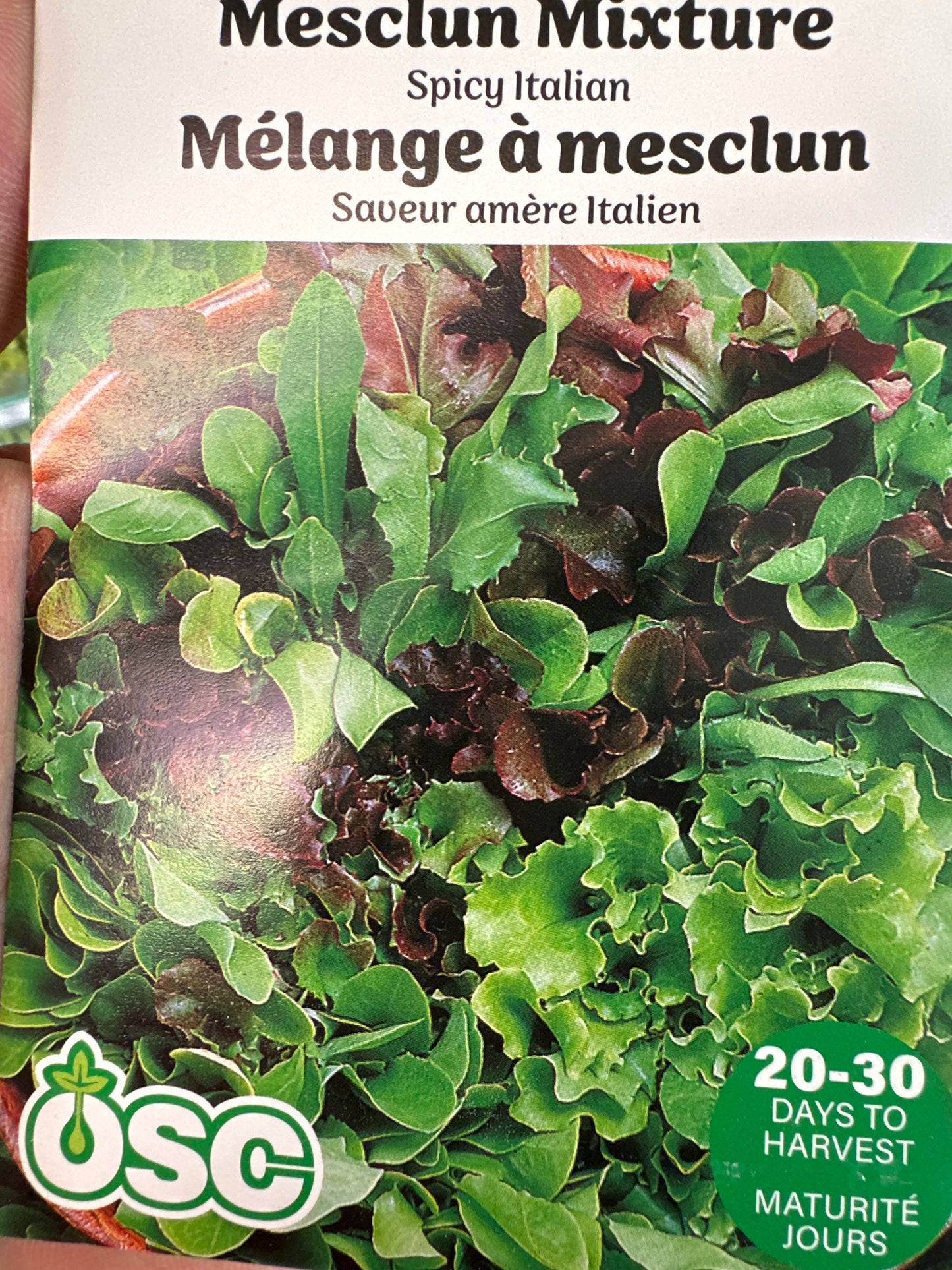 Seed Packets - Vegetables (Lettuce)