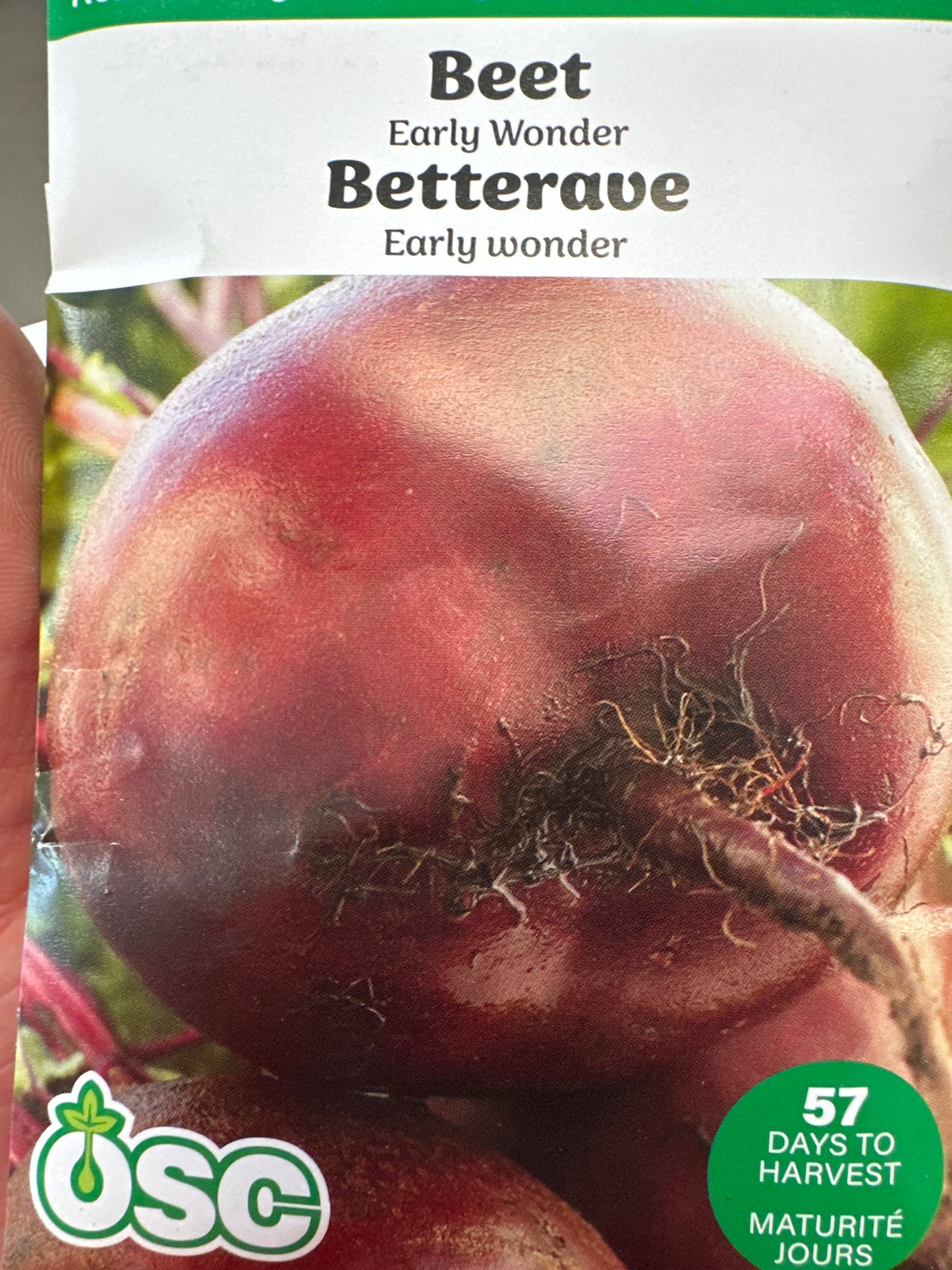 Seed Packets - Vegetable (Root)
