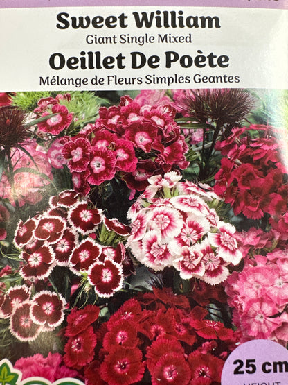 Seed Packets - Biennial