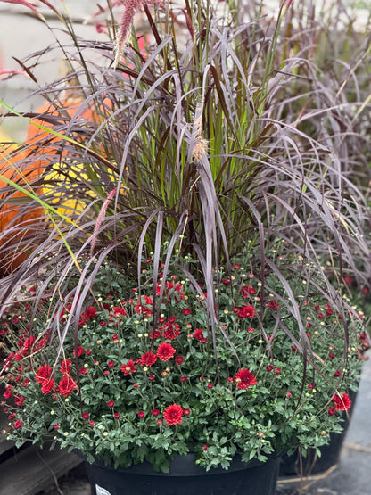 18” Mum Planter with Grass