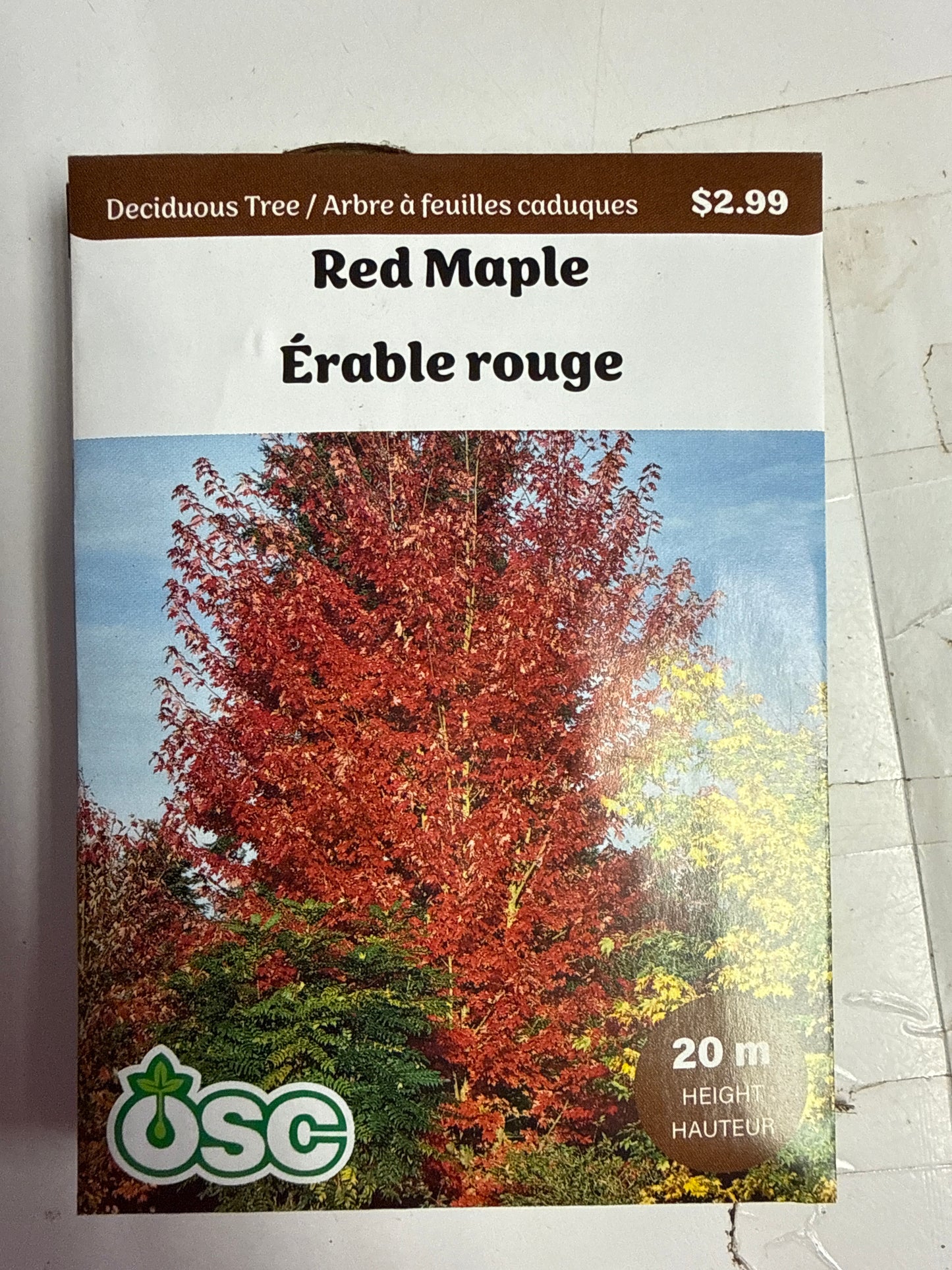 Seed Packets - Deciduous Tree