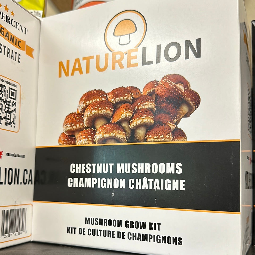 Gourmet Mushroom Grow Kit