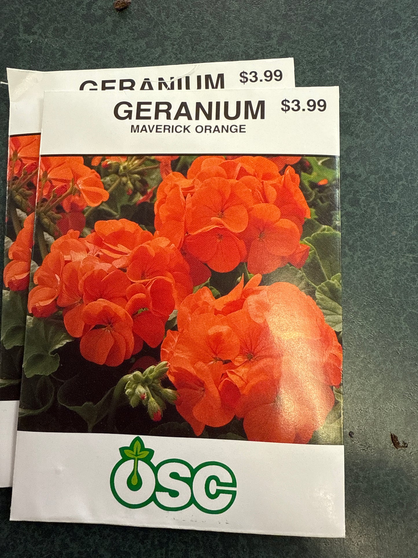 Seed - Annual (Geraniums)