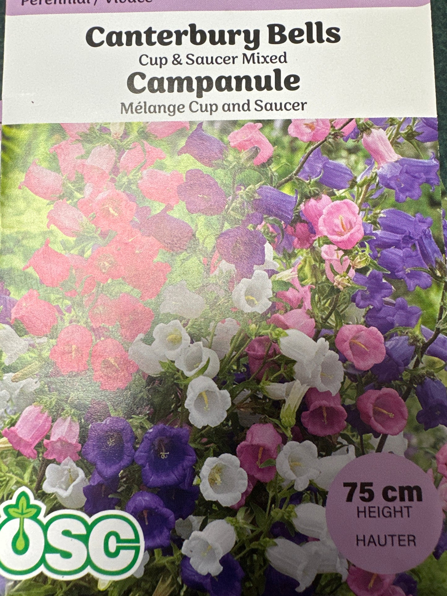 Seed Packets - Biennial