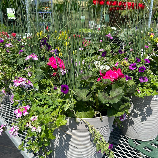 12" Deluxe Mixed Planters with Grey Pot