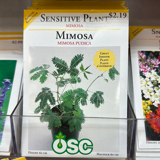Seed Packets - Sensitive Plant (Mimosa)