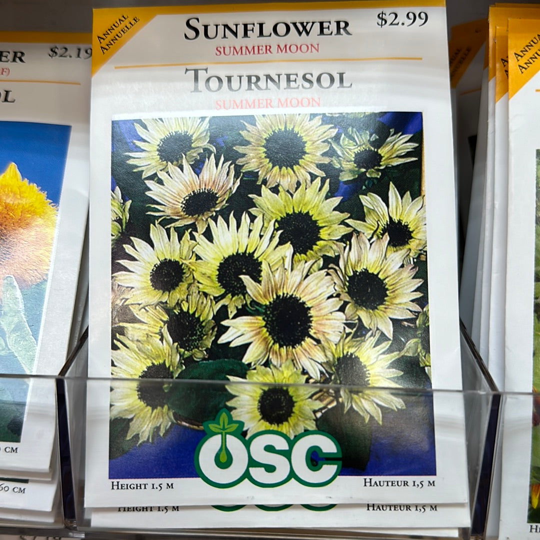 Seed Packets - Annual (Sunflower)