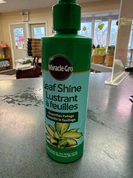 Miracle-Gro Leaf Shine
