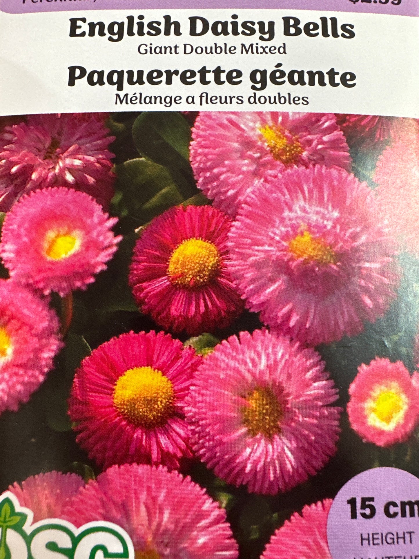 Seed Packets - Perennials