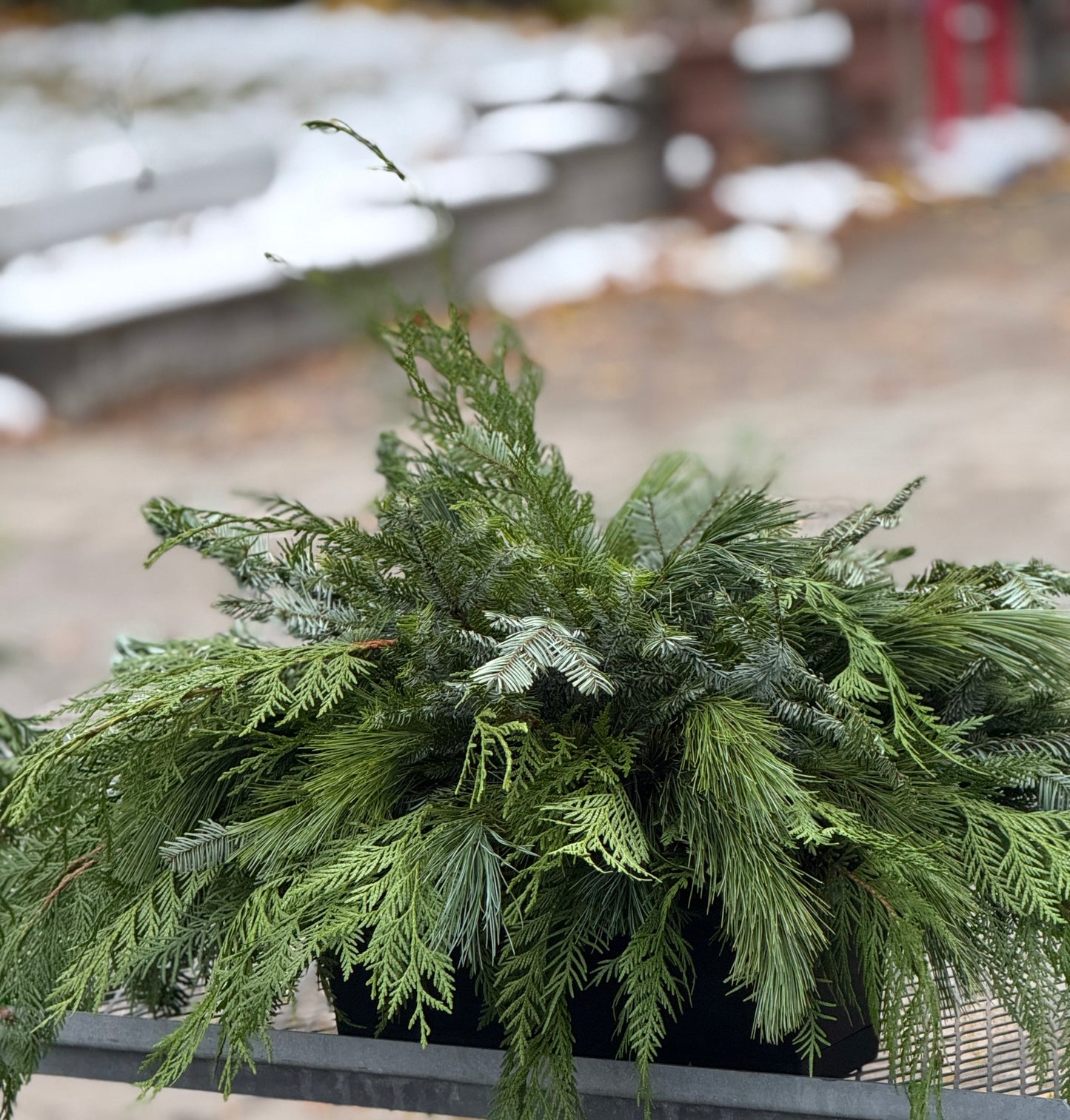 16"x8" DIY Window Box