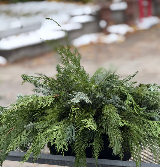 16"x8" DIY Window Box