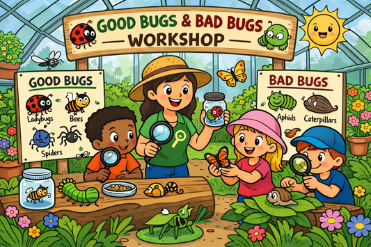 March Break Kids Workshop 2026 - All About Bugs
