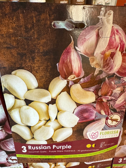 Garlic Bulbs