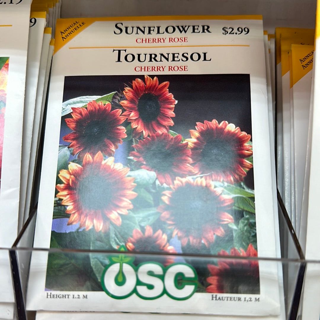 Seed Packets - Annual (Sunflower)