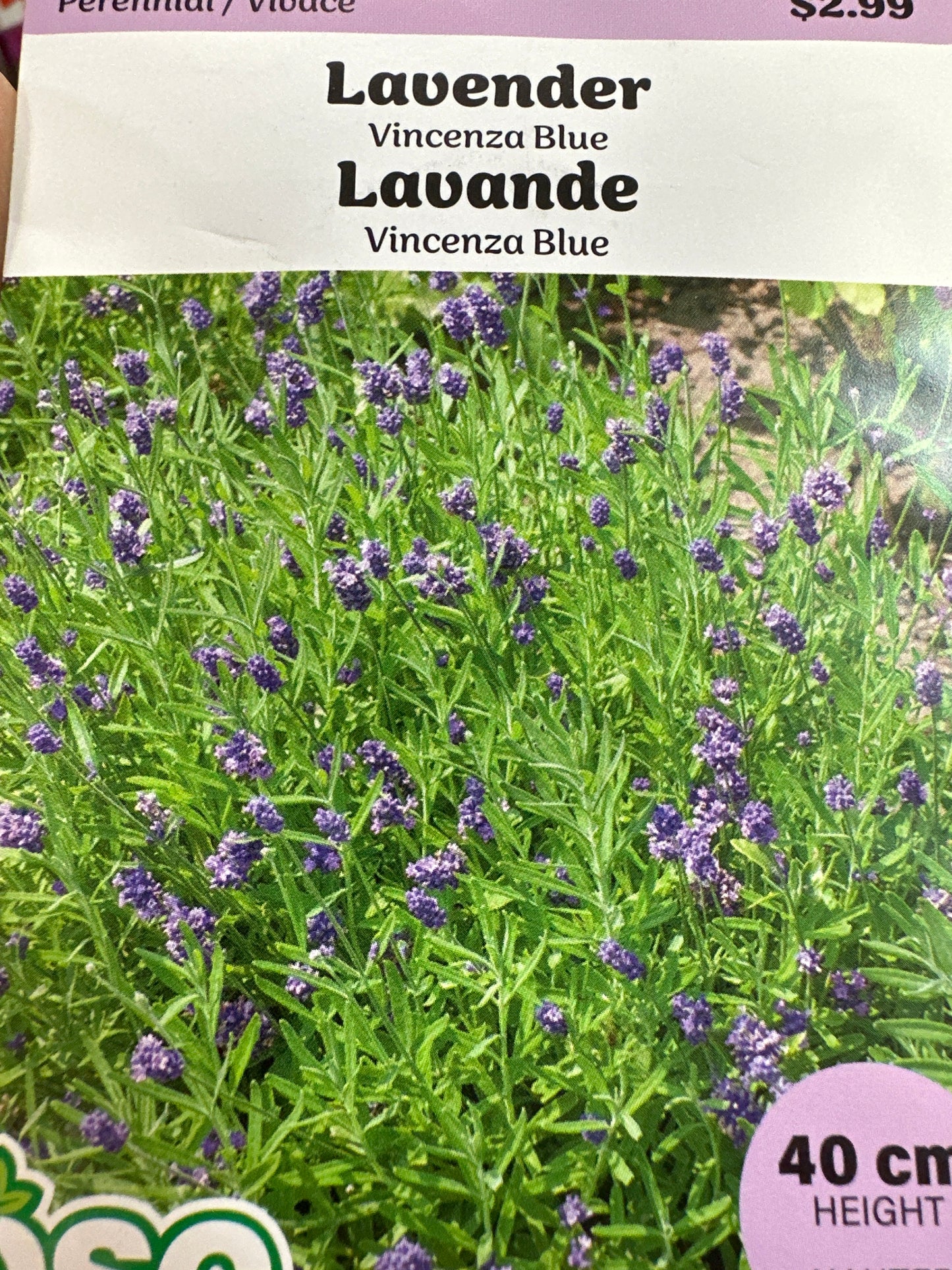 Seed Packets - Perennials