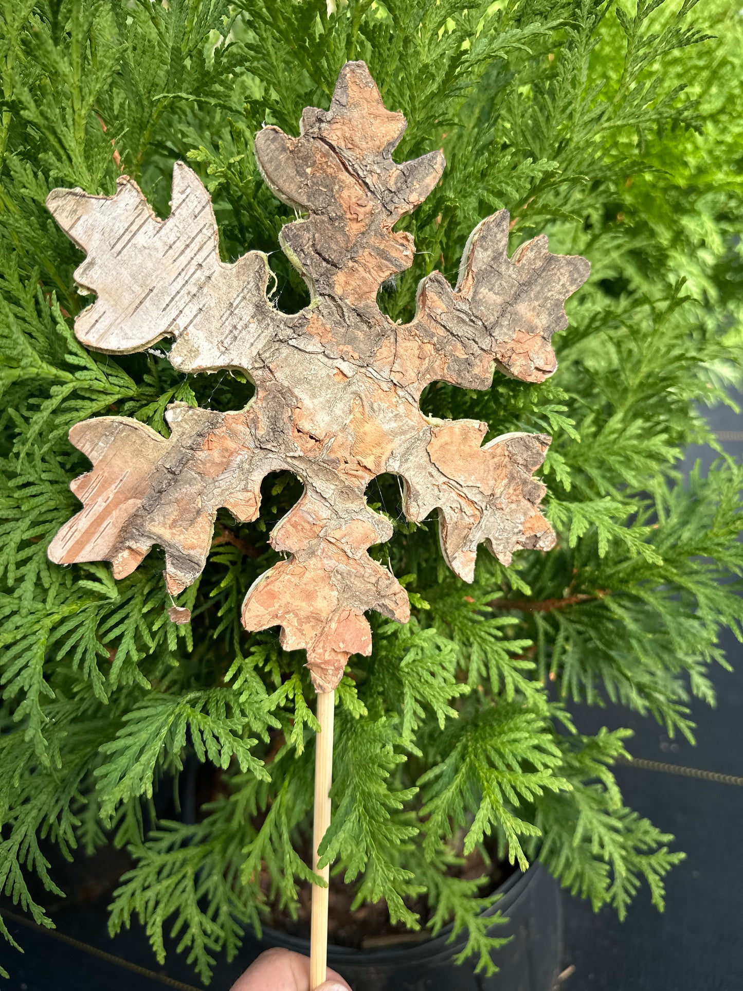 Birch Ornament for Urn Arrangments