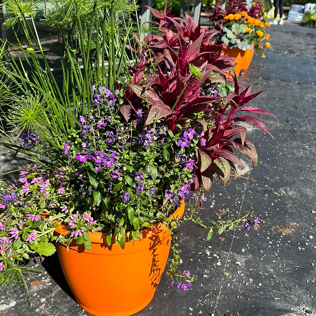 13" Mixed Fall Planter