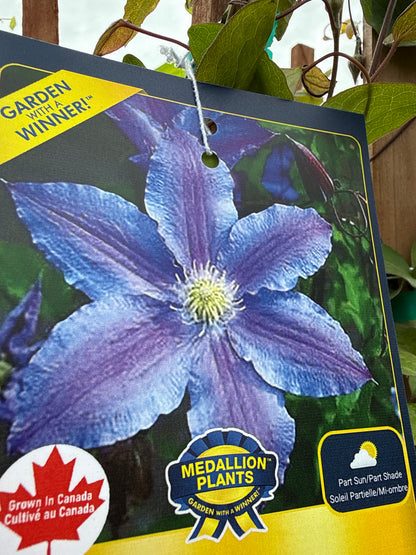 1 Gal Clematis